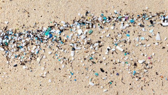 Nuclear techniques to study the impact of microplastics in the ocean