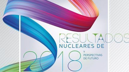 Nuclear energy results in 2018 and future perspectives