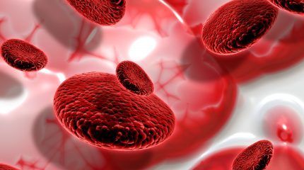 El CSN autoriza la primera instalación de rayos X para la esterilización de sangre