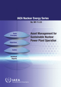 Asset Management for Sustainable Nuclear Power Plant Operation. IAEA Nuclear Energy Series No. NR-T-3.33
