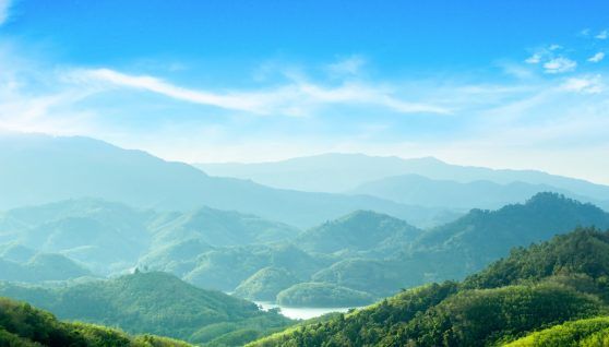 Nuclear techniques to reduce the degradation of the Earth's ecosystems