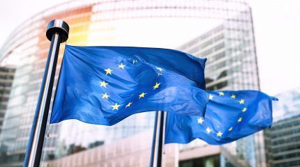 The European Commision's Taxotomy consultations on nuclear and gas activities