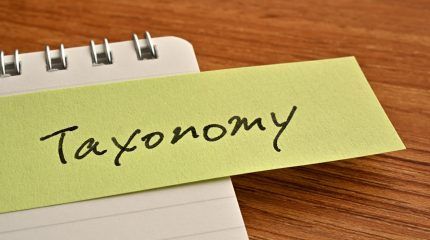 El Parlamento europeo vota a favor de que la energía nuclear esté dentro de la taxonomía por su papel en la transición