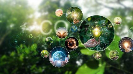Un programa internacional para analizar el impacto radiológico y ambiental