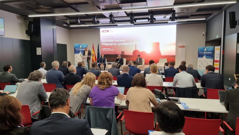 Jornada Espana Polonia en Madrid