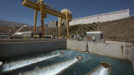 Estudio ambiental confirma el buen estado del ecosistema marino en torno a Vandellós II