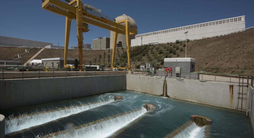 Estudio ambiental confirma el buen estado del ecosistema marino en torno a Vandellós II