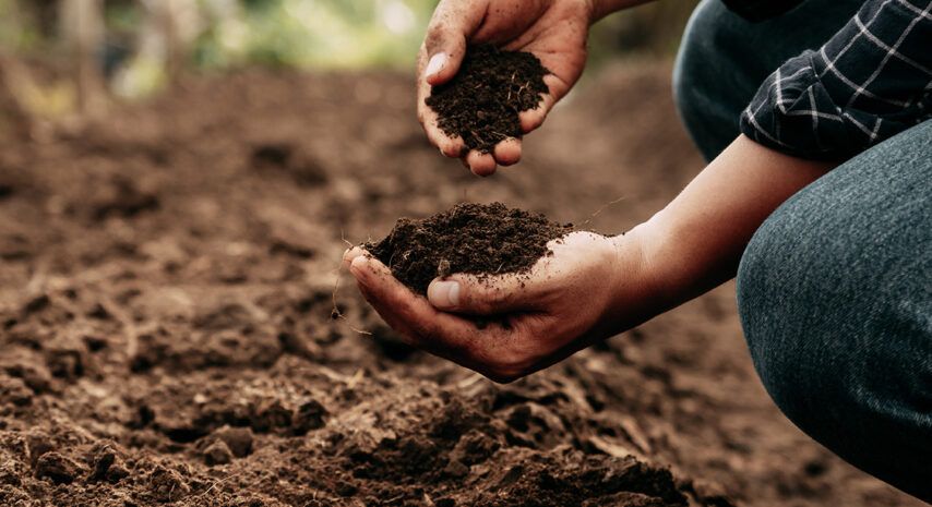 Nuclear techniques to enhance nutritional content in plants and protect soil health