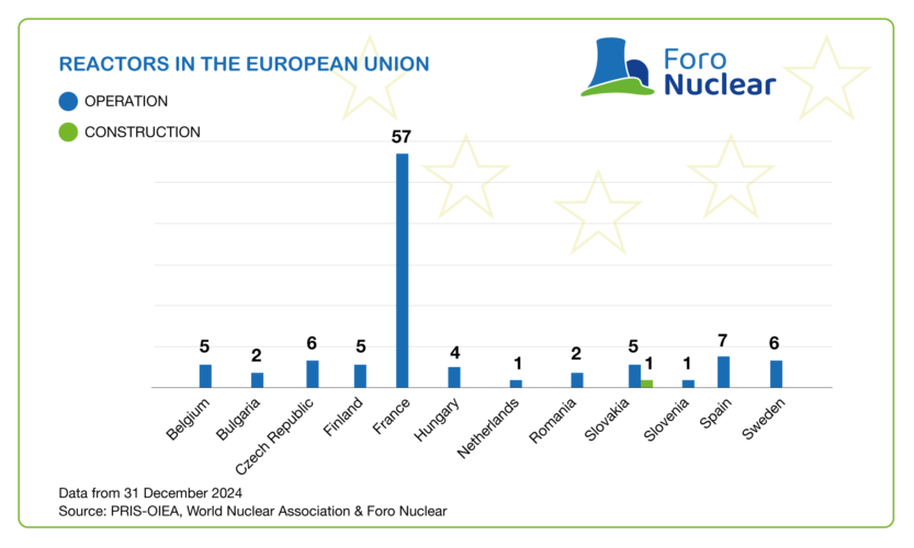 Graphics and charts from the Nuclear Results in 2024 and Future Perspectives